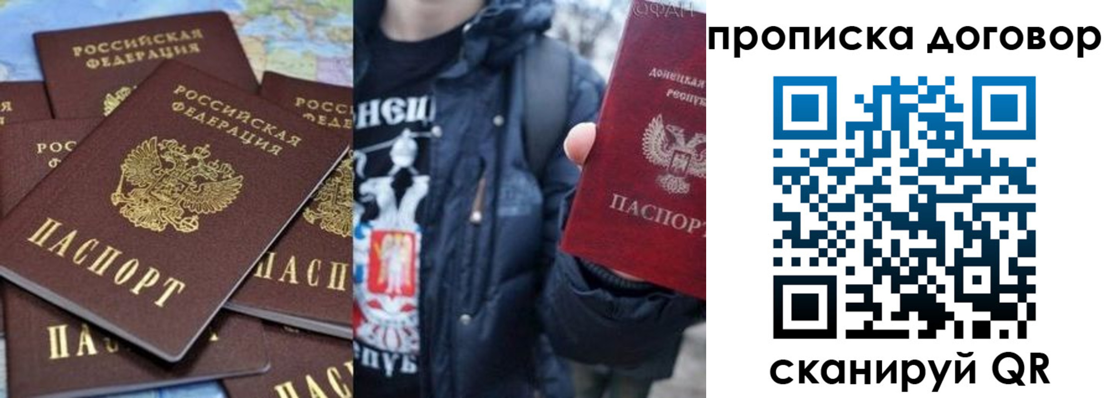 прописка поиск в Александрове